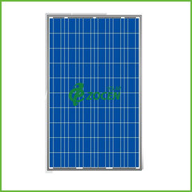 230W ต่ำเหล็กสูง Transmision Polycrystalline แผงเซลล์แสงอาทิตย์สำหรับสถานีไฟฟ้า