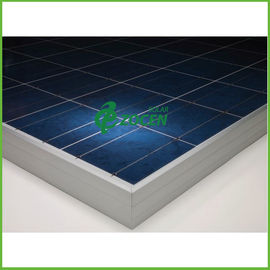 230W ต่ำเหล็กสูง Transmision Polycrystalline แผงเซลล์แสงอาทิตย์สำหรับสถานีไฟฟ้า