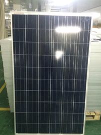ลูกเห็บหลักฐาน 250 W แผงพลังงานแสงอาทิตย์ราคาถูก Polycrystalline หุ้นพลังงานแสงอาทิตย์